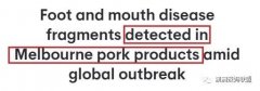 澳洲亚超人气食品出事，检测到“口蹄疫”病毒！维州12名婴儿感染新冠住院（组图）