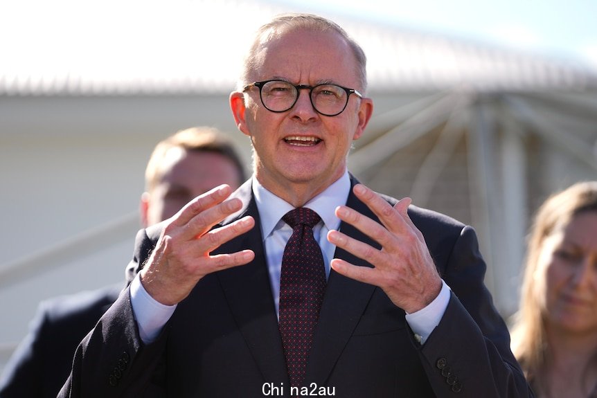 Mr Albanese gestures with both hands raised while speaking from someone's backyard a clothesline barely visible behind him.