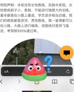 “女教练胆小墨迹，男教练通过率100%”！澳知名驾校被指歧视，网友举报至4个政府机构（组图）