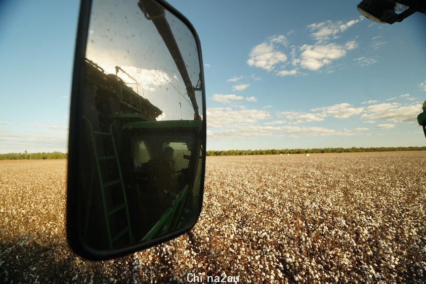 Mirror on tractor in cotton field