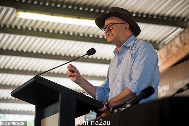 'This may not be the final form of words, but I think it's how we can get to a final form of words,' Mr Albanese said of the sentences he wants added to the Constitution