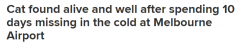 暖心！天寒地冻，澳洲老猫失踪10天终于和主人团聚，被发现时蜷缩在排水沟中（组图）