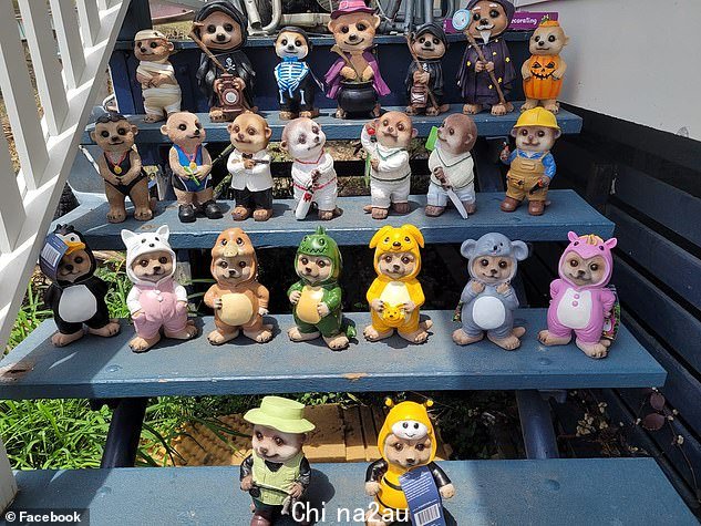 Mum-of-two Foodie Mumma Ren shared the news on Facebook and others were eager to rush to the supermarket (pictured: a customer's meerkat statue collection)