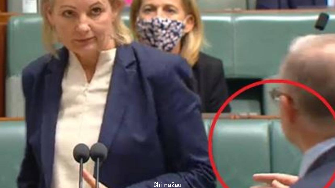 Deputy Liberal leader Sussan Ley has accused Anthony Albanese of delivering her a “sit down and shut up” gesture in Parliament