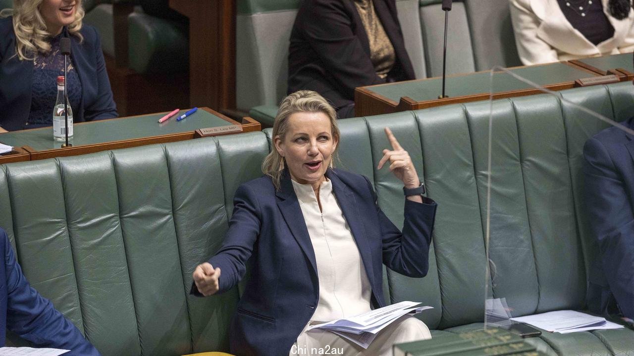 The Liberal MP said the “shoo away” hand movement while she was speaking would not be appropriate in any other workplace Picture: NCA NewsWire / Gary Ramage