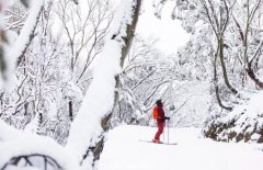 维州度假村迎史上最强滑雪季，游客量突破$100万（组图）