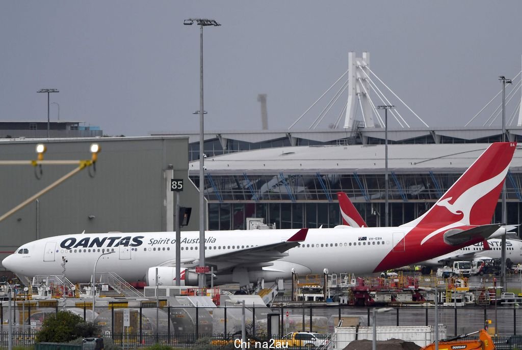 今夏邊境解放，旅遊暢旺，航空公司人力明顯不足，澳航已徵求內部高階主管到機場支援搬運行李。法新社資料照片