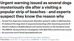 警惕！澳洲多条宠物狗“神秘”死亡，发病前都去过海滩（组图）