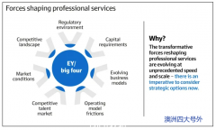 【四大】EY全球“分拆”的7张内部PPT，透视“分拆”要点
