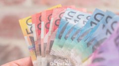 澳纳税最多地区揭晓，西悉尼奥本居民纳税仅$5523（组图）