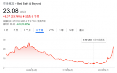 疯狂的“散户概念股” 美国一大学生狂赚1.1亿美元