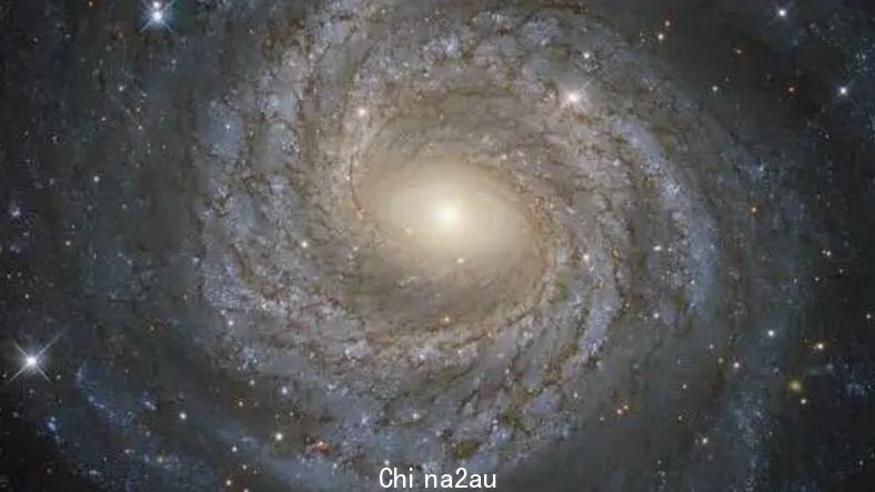 4.JPG,0