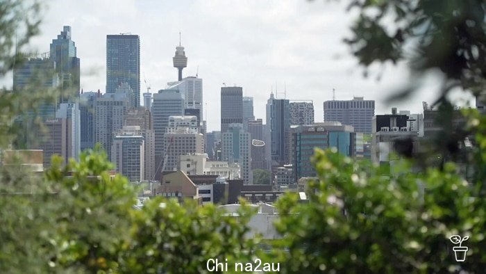 View from a high rise garden looking over Sydney CBD and Centrepoint Tower