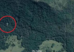 Google地图幽灵图像？澳大利亚网友发现客机疑似坠落雨林（图）