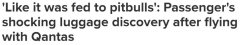 “把我行李喂狗了？！”澳航乘客托运物品变成“垃圾残骸”，要求赔$2000无果（组图）