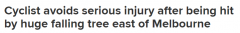 飞来横祸！澳洲骑车人突遭大树砸中，受伤送医，自行车被砸变形（图）