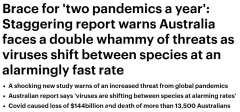 澳洲恐每年爆发两场大流行病，人畜共患病毒或是“罪魁祸首”（组图）