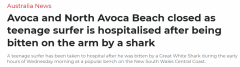 新州14岁男孩海滩冲浪遭鲨鱼咬伤，袭击发生时无巡逻员（图）