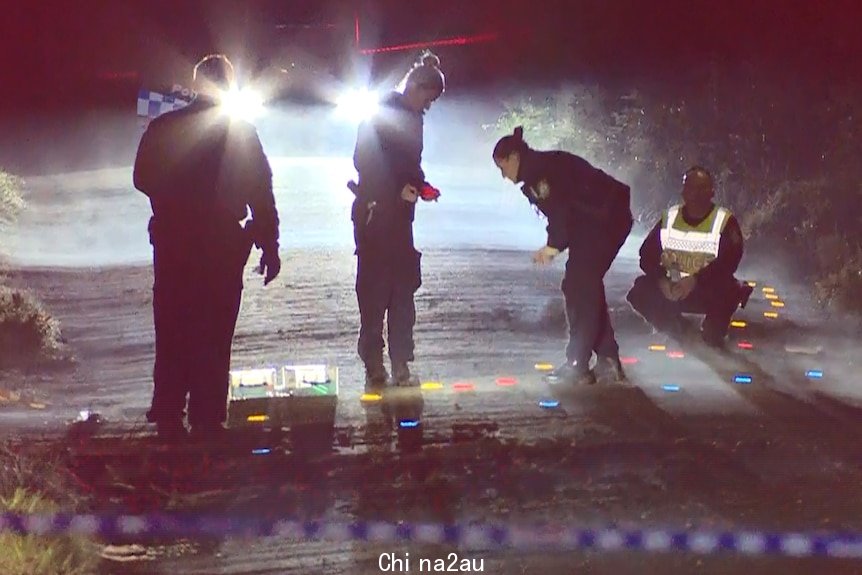 Police stand on a road in the dark