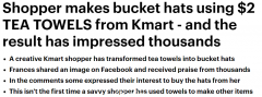 Kmart仅售$1.75的小东西火了！澳女用它做帽子，网友看了赞不绝口（组图）