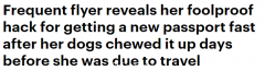 急用护照却被狗狗咬坏，澳女历时5天拿到全新护照！多亏排对了队（组图）