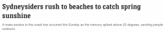 悉尼Bondi海滩又现“人从众”！气温上升，人们涌入海滩晒日光浴（组图）