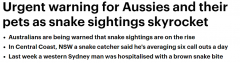 小心！越来越多蛇入侵澳洲民宅，捕蛇人警告：看见了别捕杀，恐被罚款$1万或10年监禁（组图）
