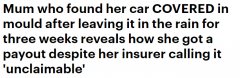 太潮湿！悉尼夫妇闲置汽车长满霉菌，多亏网友提醒获得高额赔偿（视频/组图）
