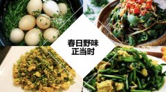 你家后院可能就藏着家乡美食！澳洲春夏野菜采摘指南，附常见做法（组图）