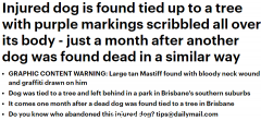 狗狗脖子受伤被系树上，身上还有涂鸦！澳洲网友义愤填膺（组图）