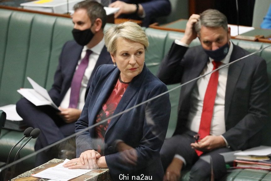 Tanya Plibersek looks to the left while speaking in Question Time