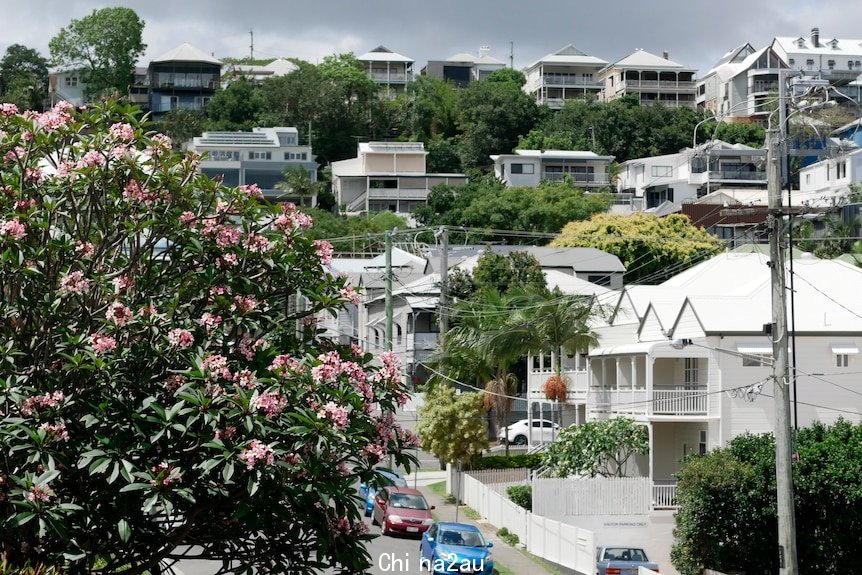 Houses in Brisbane street 