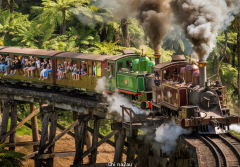 春日出游！百年蒸汽小火车来了，独家优惠折扣，带你走进童话世界（组图）
