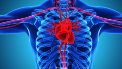 澳研究：新冠病毒或直接对心脏DNA产生影响！心脏炎症率暴增247%，且不可逆（组图）