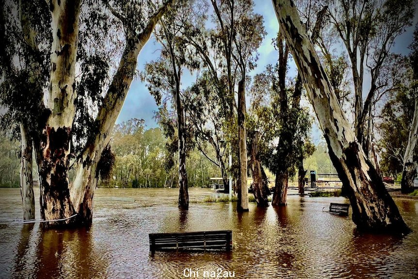 River water inundates a park.