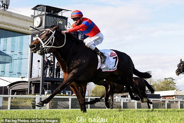 Star Australia mare Verry Elleegant 将错过周日的 Prix de l'Arc de Triomphe