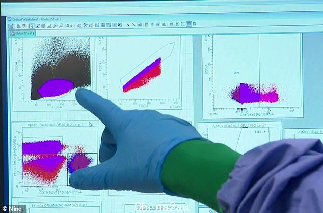 注入草花粉剂量的药片重新训练人体免疫系统中的细胞以提供保护(如图,研究团队观察带有测试结果的电脑屏幕)