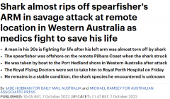 惨烈！澳男叉鱼却遭遇鲨鱼，左臂险些被咬断（组图）