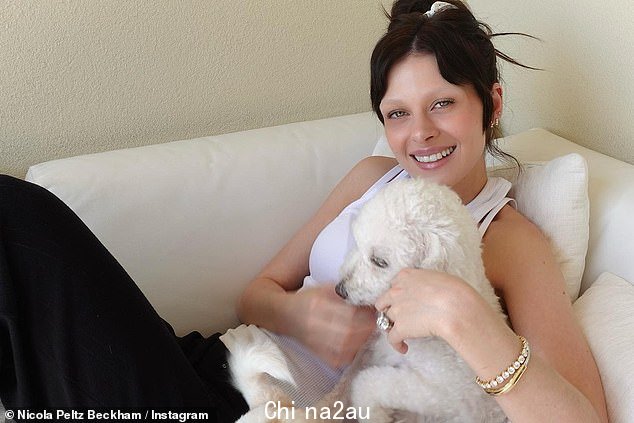 可爱:大卫贝克汉姆和维多利亚贝克汉姆的 23 岁儿子和他的女演员妻子尼古拉与新毛茸茸的白色小狗分享了一系列甜蜜的照片