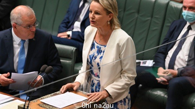 自由党副领袖 Sussan Ley 表示，她不相信 Anthony Albanese 会遵守他的承诺，不会在第三阶段减税中倒退。照片由 Martin Ollman/Getty Images 拍摄。