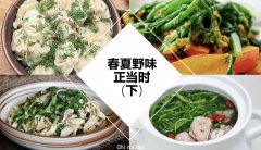 后院美食下篇来啦！澳洲春夏野菜采摘指南，附常见做法（组图）