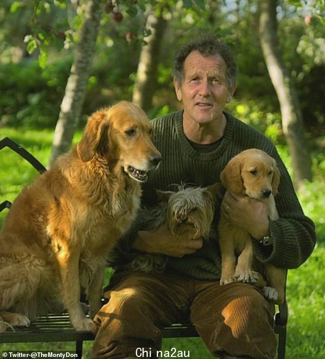 蒙蒂唐以对狗的热爱而闻名,他在失去他 12 岁的金毛猎犬奈杰尔后登上了头版新闻,奈杰尔是他在《园丁世界》中的联合主演.上图他与 Ned(右)Golden Retriever Nell(左)和约克夏犬 Patti(中)合照