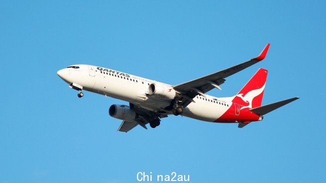 延误影响了墨尔本机场一号航站楼的澳航乘客。图片：NCA Newswire/Brendan Radke