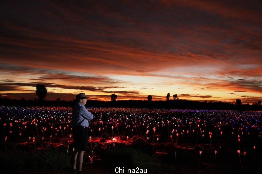 Bruce Munro at Field of Light Uluru