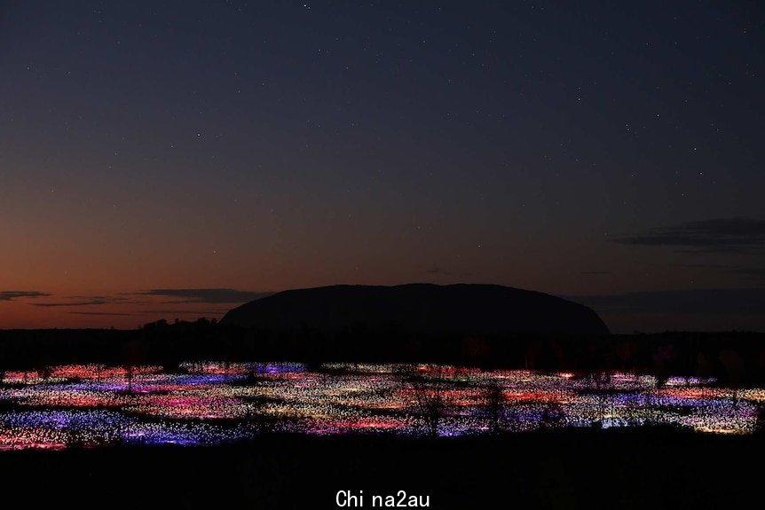 Field of Light with Uluru in the background.