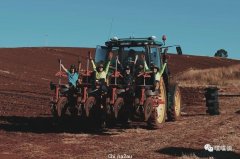 22岁华女在澳洲打工度假：农场摘葡萄一周能挣四千，给房主打工换住宿，过上李子柒式生活（组图）
