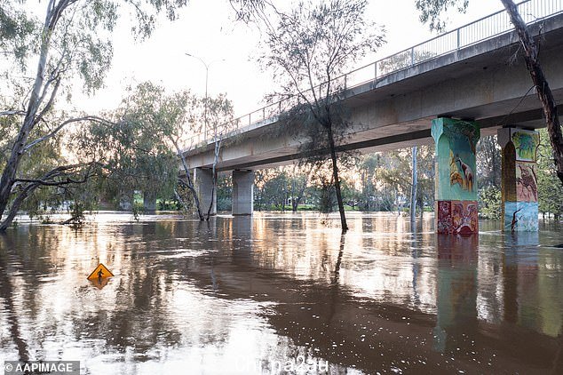 The swollen Lachlan River underneath the Mid-Western Highway in Cowra, NSW on Tuesday