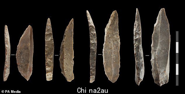 这项研究首次发现了在古代人类亚种灭绝之前,这对夫妇在多长时间和何处混合的证据。这是使用在欧洲发现的两组文物确定的。图为尼安德特石器