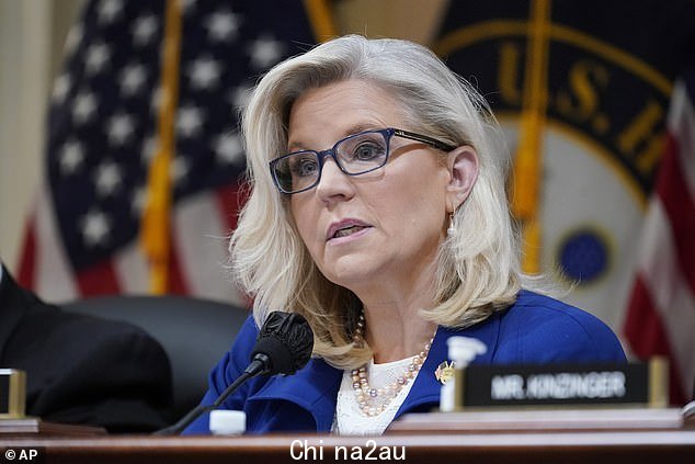 众议员 Liz Cheney (R-Wyoming) 在过去两年与她自己的党派成员持续对抗后失去了她 8 月的初选,输给了 Harriet Hageman