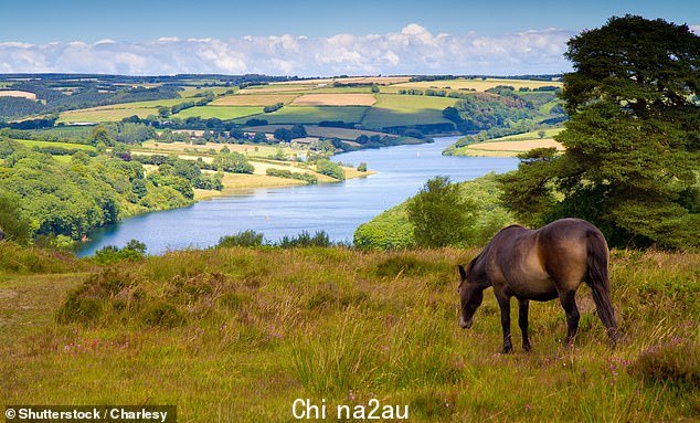 Wimbleball 是西南地区最大的水库之一,可在 374 英亩的土地上储存 21,000 兆升水
